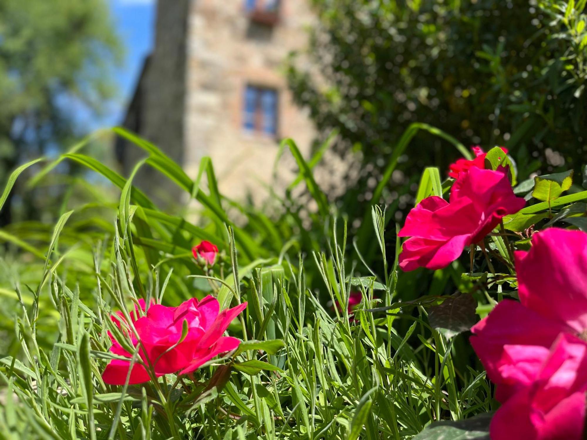 דירות גאיולה אין קיאנטי Mulino In Chianti מראה חיצוני תמונה